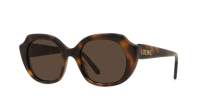 Loewe Slim LW40191I 52E 50-20 Tartaruga