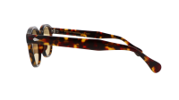 Moscot Lemtosh LEMTOSH SUN 49 TORTOISE AMBER Tartaruga