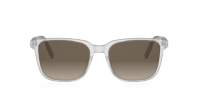 DIOR DIORTAG SU 45F2 56-19 Cinza