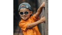 Julbo Loop J511 2320 Loop L Gris