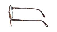 Tom Ford FT5578-B/V 056 54-15 Školjka