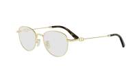 DIOR PETIT CDO R2U B000 49-18 Goud