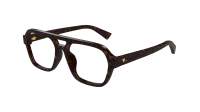 Bottega Veneta Soft BV1336OA 002 55-17 Tortuga