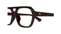 Bottega Veneta Soft BV1336OA 002 55-17 Tortuga