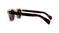Moscot DOLT SUN 46 FLESH TORTOISE