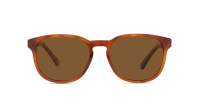 Vuarnet Belvedere 02 VU40011I 53H 54-18 Tortuga