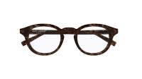 Saint Laurent Sl logo SL 907 005 49-22 Havanna