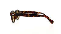 Moscot LEMTOSH BASE 2 SUN 46 TORTOISE AMBER