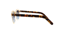 Moscot GAVOLT SUN 48 FLESH TORTOISE