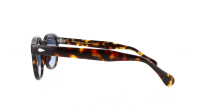 Moscot LEMTOSH BASE 2 SUN 46 TORTOISE