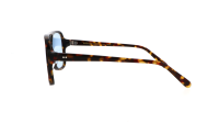 Moscot SHEISTER SUN 57 TORTOISE
