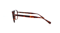 Moscot BJORN 55 TORTOISE DEMO