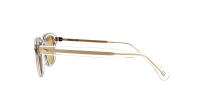 Moscot LEMTOSH SUN LE 46 110