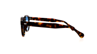 Moscot LEMTOSH BASE 2 SUN 49 TORTOISE