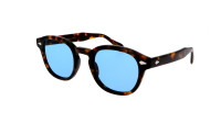 Moscot LEMTOSH BASE 2 SUN 49 TORTOISE