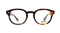 Moscot LEMTOSH 52 CLASSIC HAVANA DEMO