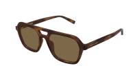 Saint Laurent Sl logo SL 905 003 55-17 Havane