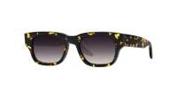 Barton Perreira Dondi BP40116I 52B HEC/SMO 50-21 Tartaruga