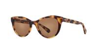 Garrett Leight Jess 2176 SAVT/FCID 50-21 Tortoise