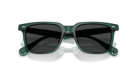 Oliver peoples Mr federer ii OV5592S 176387 52-19 Translucent dark teal