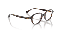 Oliver peoples Marnett OV5599U 1741 47-19 Atago Tortoise