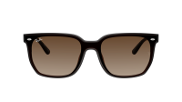 Ray-Ban RB4466D 714/13 147-47 Transparent Dark Brown