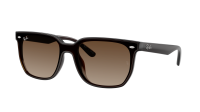 Ray-Ban RB4466D 714/13 147-47 Transparent Dark Brown