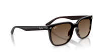 Ray-Ban RB4466D 714/13 147-47 Transparent Dark Brown