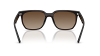 Ray-Ban RB4466D 714/13 147-47 Transparent Dark Brown