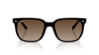 Ray-Ban RB4466D 714/13 147-47 Transparent Dark Brown