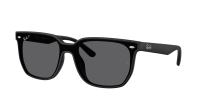 Ray-Ban RB4466D 601S81 147-47 Schwarz