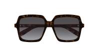 Saint Laurent Sl logo SL 174 005 56-17 Havanna