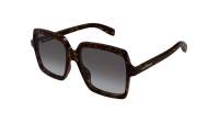 Saint Laurent Sl logo SL 174 005 56-17 Havana