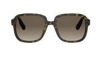 DIOR DIORIBBON S1I 20F1 54-18 Školjka