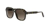 DIOR DIORIBBON S1I 20F1 54-18 Tartaruga