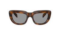 Prada PR D07S 20D50Q 53-20 Juniper Tortoise