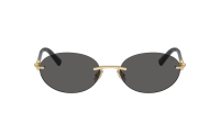 Tiffany & Co TF3104D 6216S4 56-18 Or