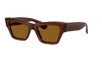 Oliver peoples OV5611SU 181353 52-19 Marrom