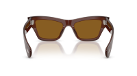 Oliver peoples OV5611SU 181353 52-19 Brun