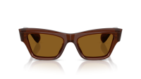 Oliver peoples OV5611SU 181353 52-19 Bruin