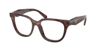 Prada PR C11V 14P101 53-17 Caramel Tortoise