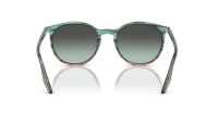 Ray-Ban RB2204 1394GK 51-20 Striped Blue Gradient Green