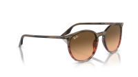 Ray-Ban RB2204 13953B 51-20 Striped Brown Gradient Red