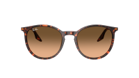 Ray-Ban RB2204 14293B 51-20 Havana Red Turtle
