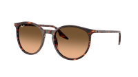 Ray-Ban RB2204 14293B 51-20 Havana Red Turtle