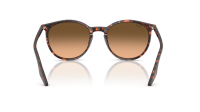 Ray-Ban RB2204 14293B 51-20 Havana Red Turtle