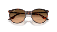 Ray-Ban RB2204 14293B 51-20 Havana Red Turtle