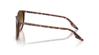 Ray-Ban RB2204 14293B 51-20 Havana Red Turtle