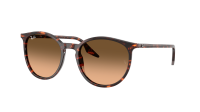 Ray-Ban RB2204 14293B 51-20 Havana Red Turtle