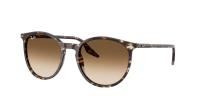Ray-Ban RB2204 143151 51-20 Havana Yellow Turtle